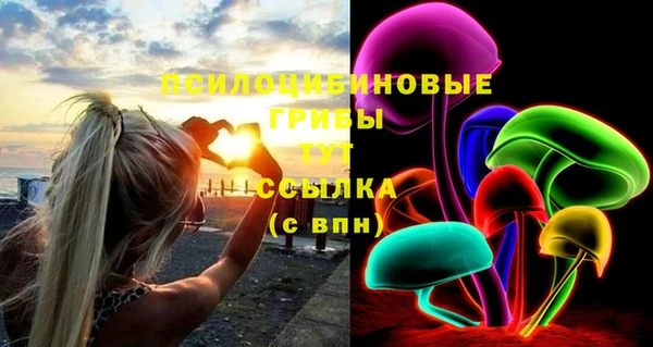 твердый Белокуриха