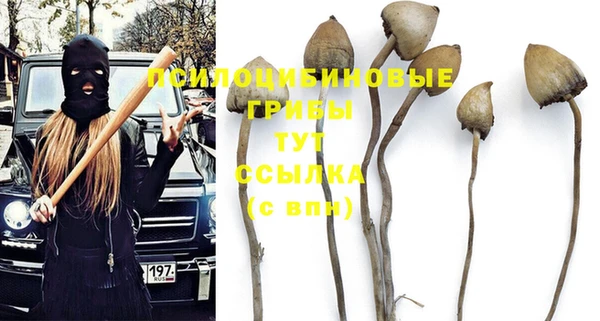 твердый Белокуриха