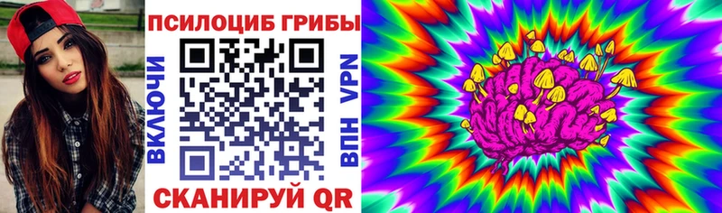 цены   Нахабино  Галлюциногенные грибы Cubensis 